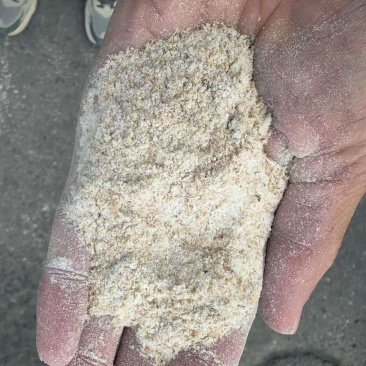 饲用小麦粉，哈萨克直供，
