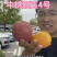 果园直发桃树苗新品种特早熟胭脂脆桃颜玉四号桃包对版成活率