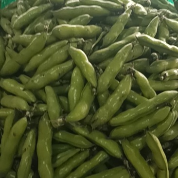精品小米胡豆