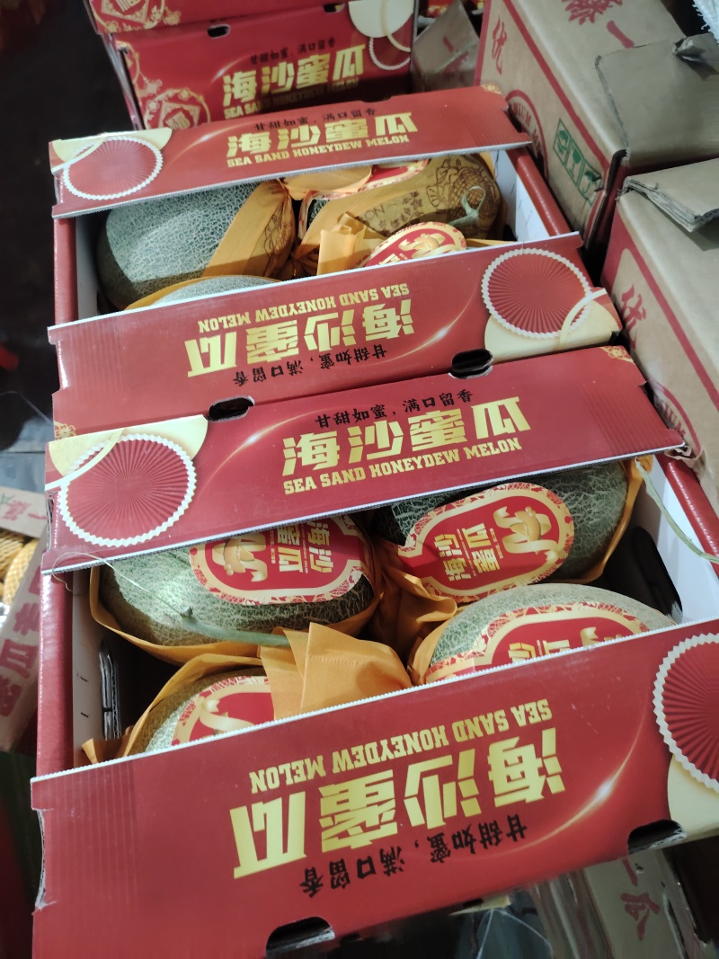 《海南哈密瓜》晓蜜25号/产地直发/自家基地欢迎来电