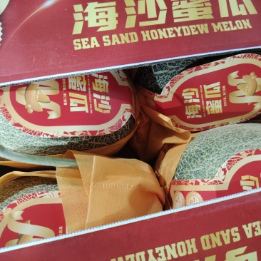 《海南哈密瓜》晓蜜25号/产地直发/自家基地欢迎来电