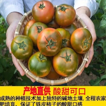 【实力商家】产地直发【诚实守信】对接超市【口感脆甜】草西