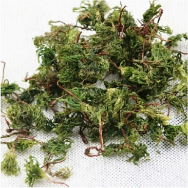 回心草中药材旗舰店正品克云南新鲜干货批发茴心草茴薪草泡水