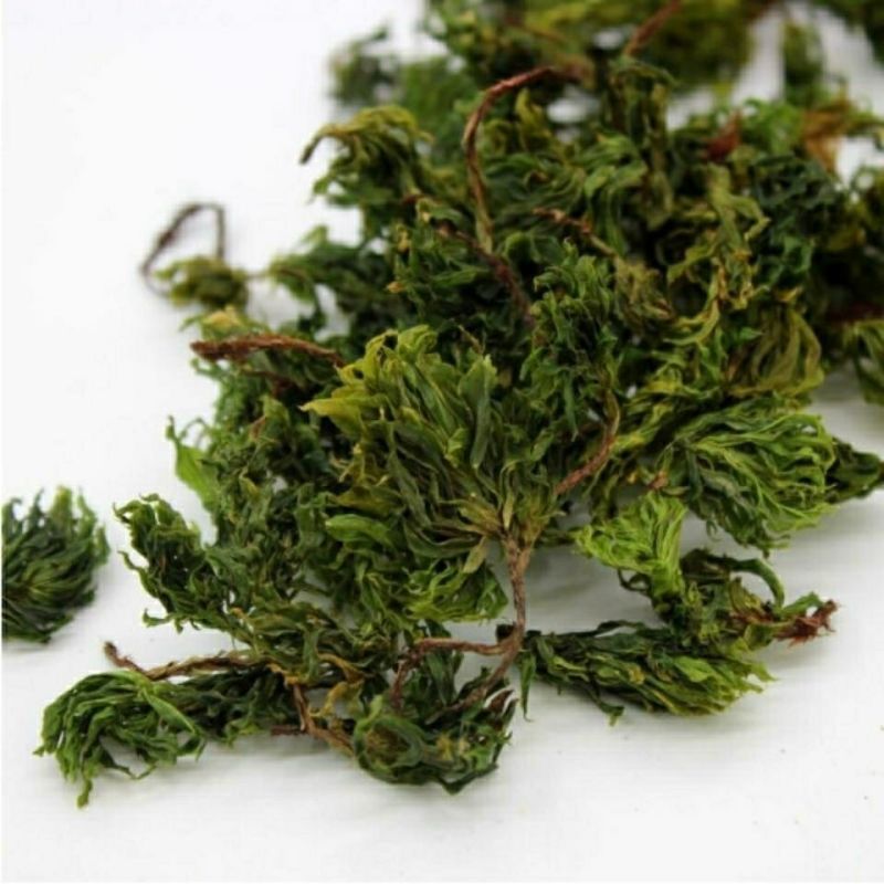 回心草中药材旗舰店正品克云南新鲜干货批发茴心草茴薪草泡水