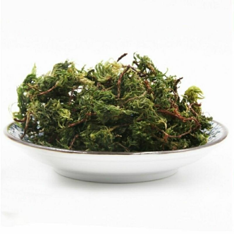 回心草中药材旗舰店正品克云南新鲜干货批发茴心草茴薪草泡水
