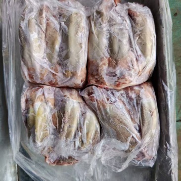 口条