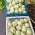 安阳甜瓜白莎蜜甜瓜皮薄肉厚量大保质保量发