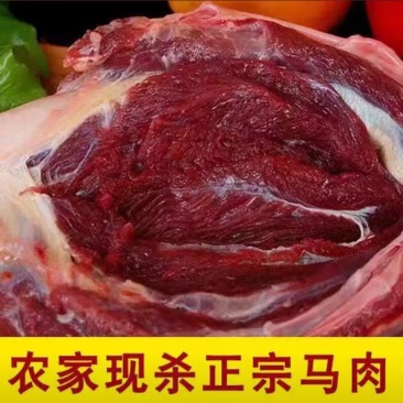 【鲜马肉】新鲜现杀马腿肉精品生鲜带皮马肉火锅烧烤食材包邮