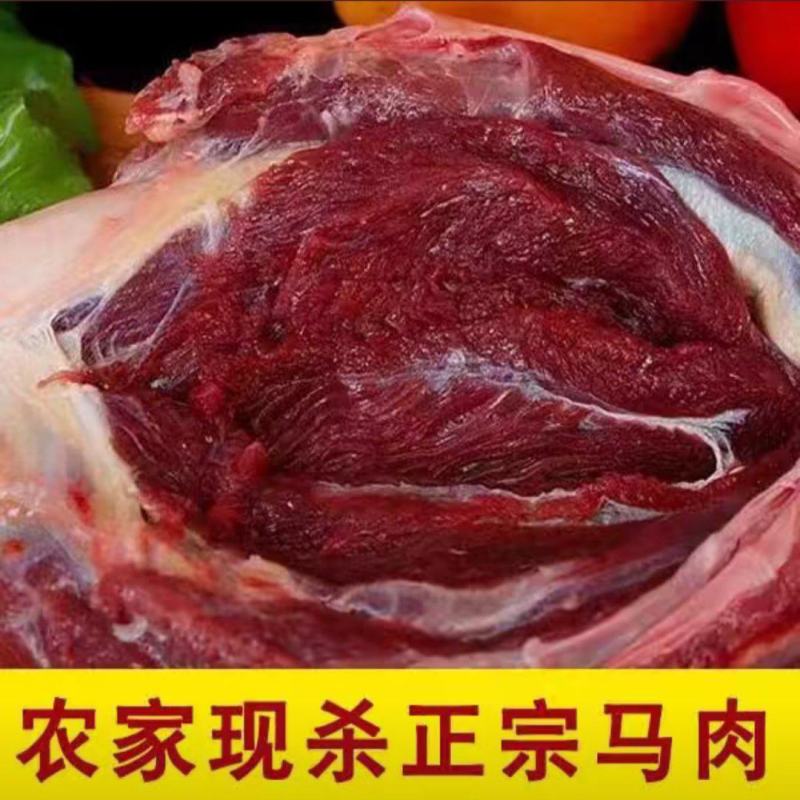【鲜马肉】新鲜现杀马腿肉精品生鲜带皮马肉火锅烧烤食材包邮