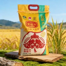 东北益生菌大米10kg一袋