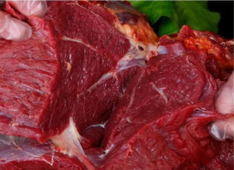 【鲜马肉】新鲜现杀马腿肉精品生鲜带皮马肉火锅烧烤食材包邮