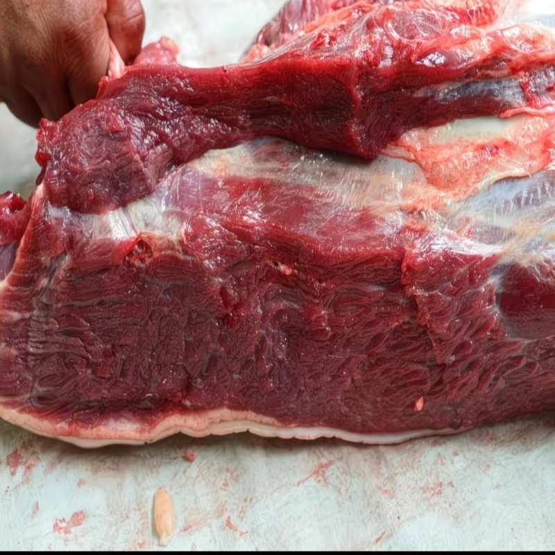 【鲜马肉】新鲜现杀马腿肉精品生鲜带皮马肉火锅烧烤食材包邮