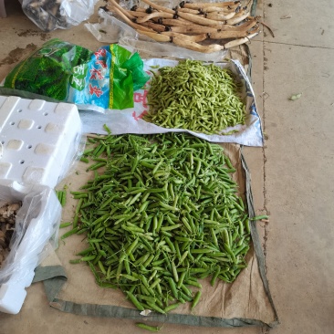 片角甜催豌豆
