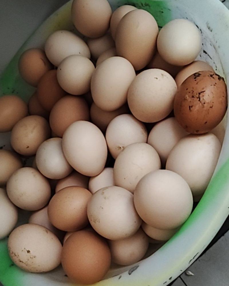 土鸡蛋