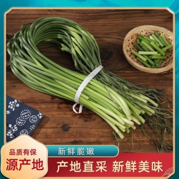 云南白帽蒜苔大量上市全国发货，欢迎进店沟通