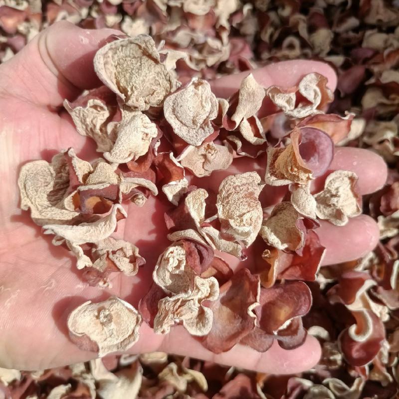 优质粉木耳干货无根无硫餐饮凉拌火锅食材产地直批