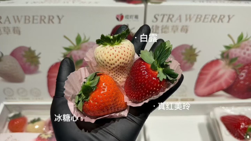 徽黄草莓种苗早熟品种徽黄草莓纯甜保纯度