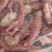 脆口须鱿鱼须可爆炒/捞汁/货源充足/量大从优/欢迎咨询