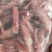 脆口须鱿鱼须可爆炒/捞汁/货源充足/量大从优/欢迎咨询