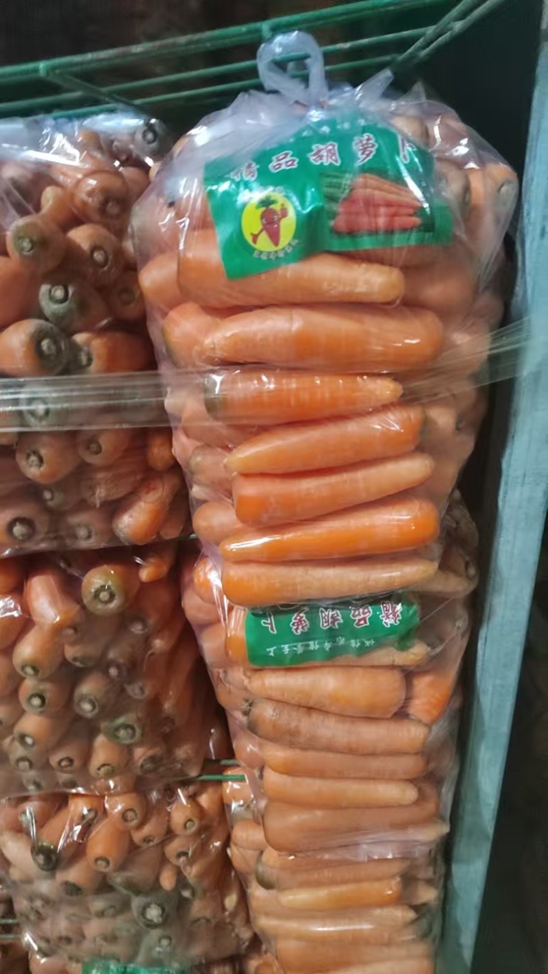 优质胡萝卜新鲜采摘自家种植保质保量对接商超档口