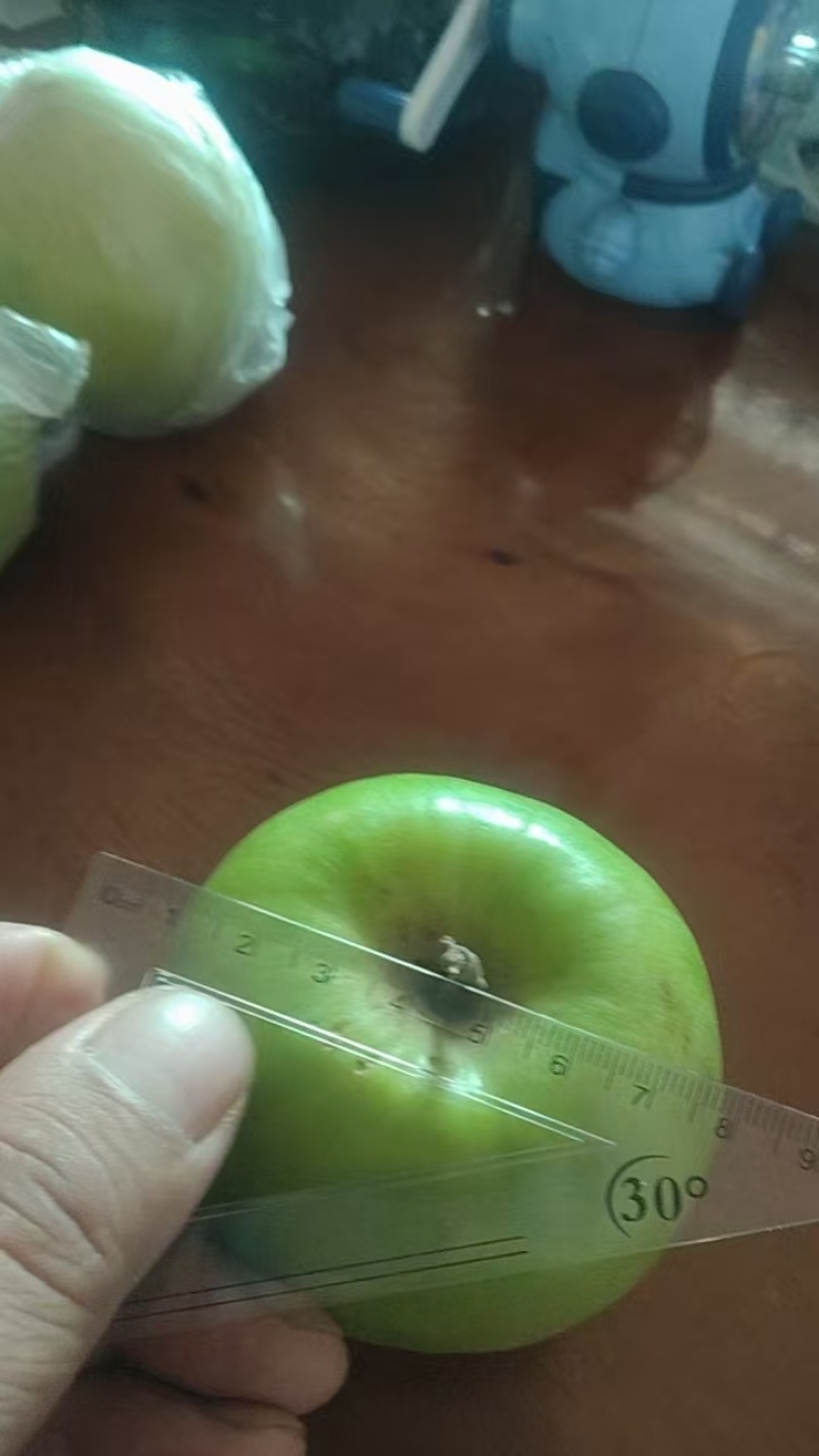 苹果青枣/保质保量/量大从优/欢迎各位老板选购