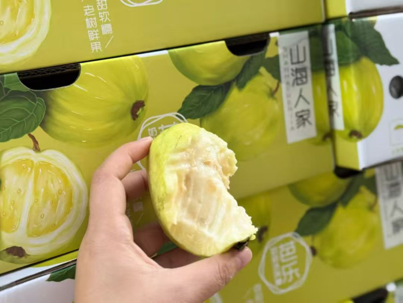 芭乐/量大从优/产地直供/欢迎前来选购/保质保量