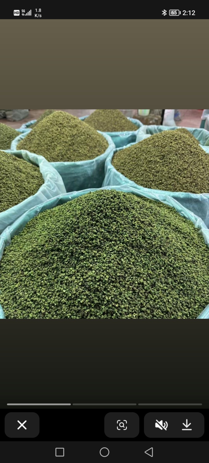金阳县青花椒产地供应量大从优质量保证欢迎咨询