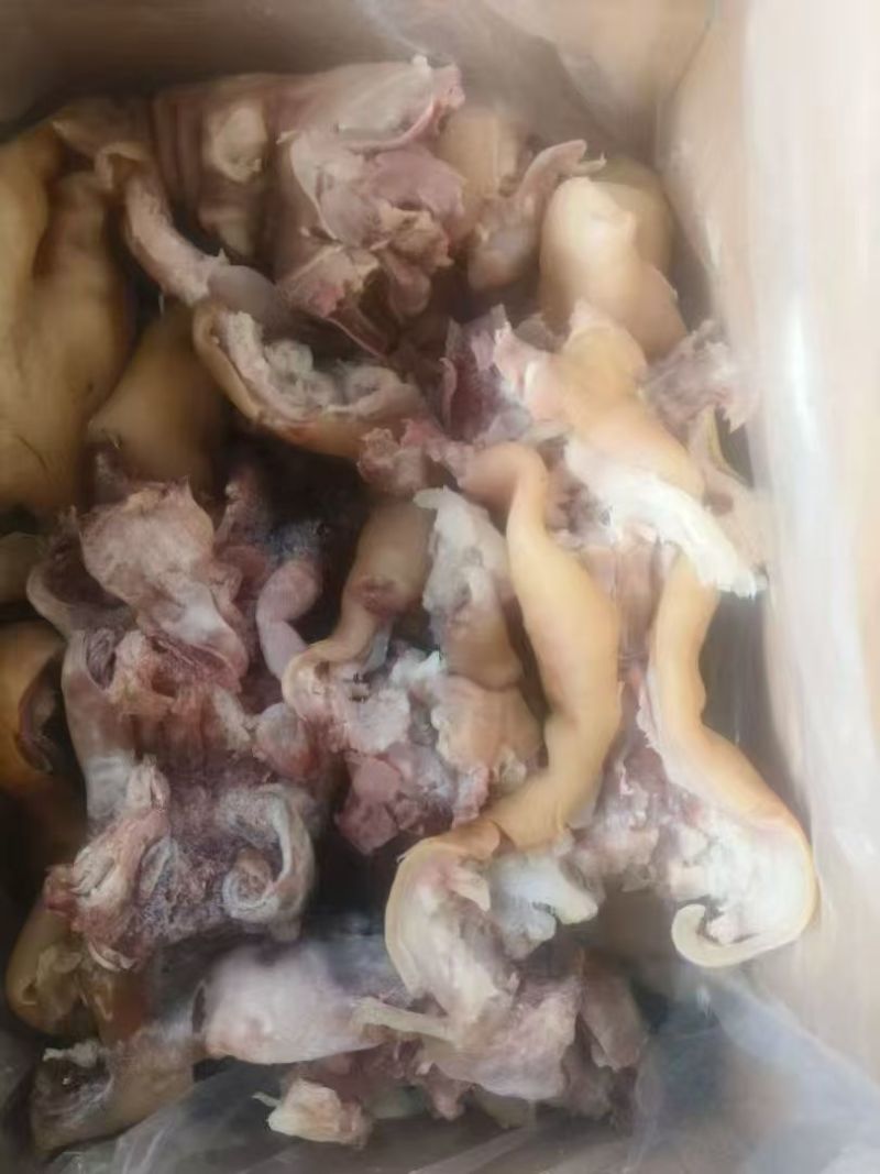 去骨牛蹄/博爱牛副产品/厂家直销大量有货/欢迎采购