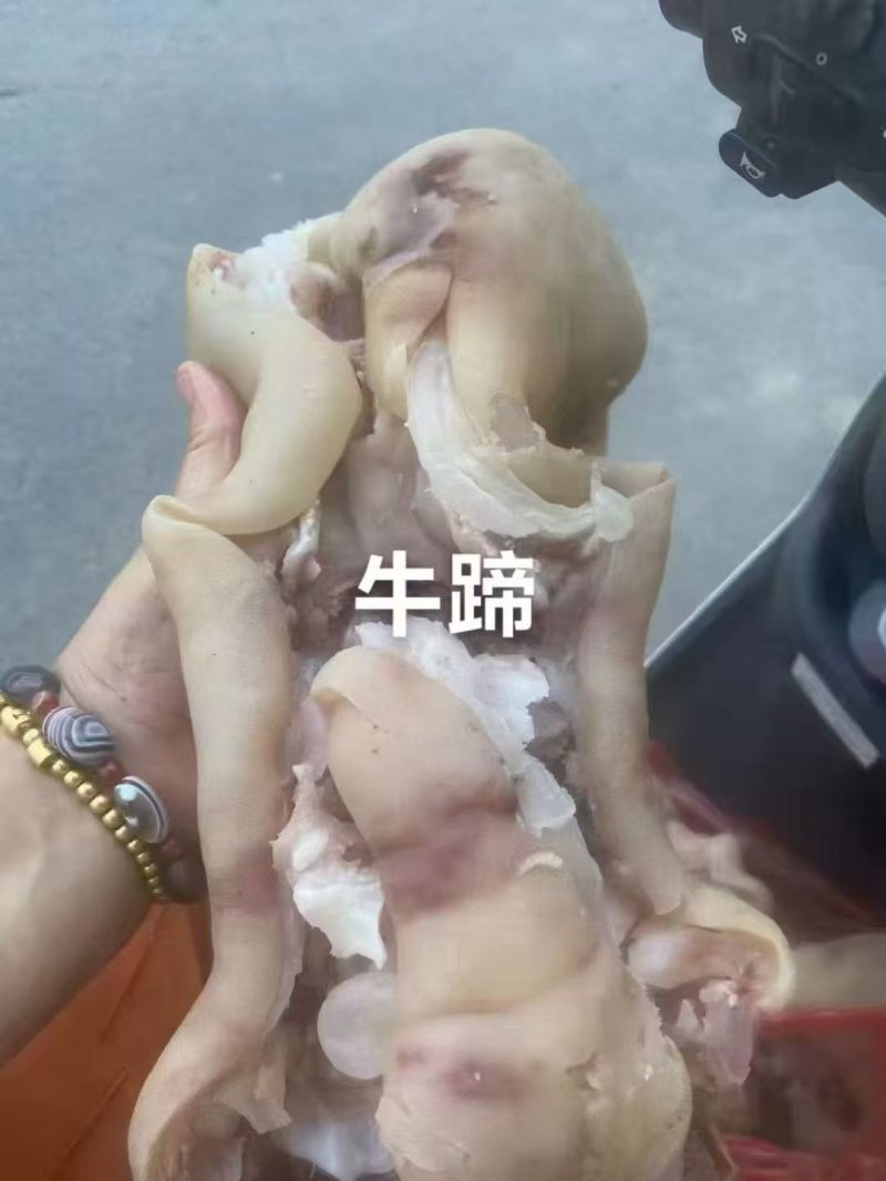 去骨牛蹄/博爱牛副产品/厂家直销大量有货/欢迎采购