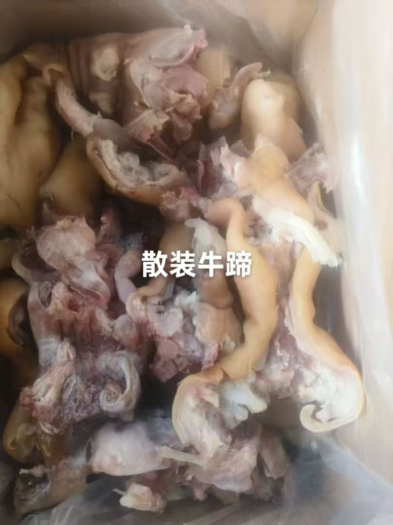 去骨牛蹄/博爱牛副产品/厂家直销大量有货/欢迎采购