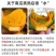 贝贝南瓜/产地直发/粉糯香甜/支持整车/一件代发/原产地