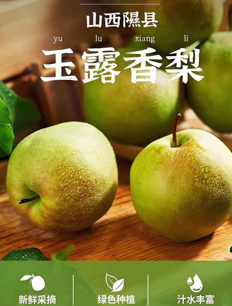 山西玉露香梨清甜可口价格美丽对接全国量大从优欢迎询价