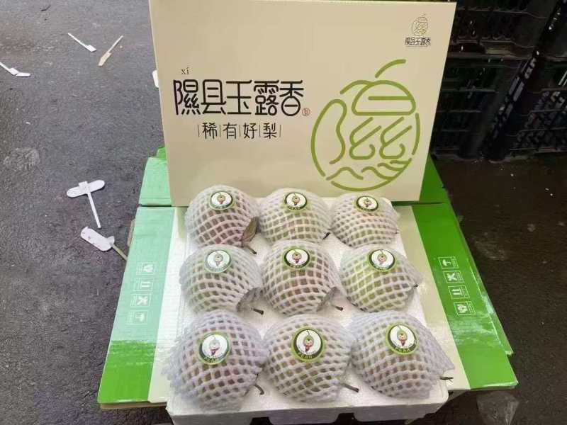 山西玉露香梨清甜可口价格美丽对接全国量大从优欢迎询价