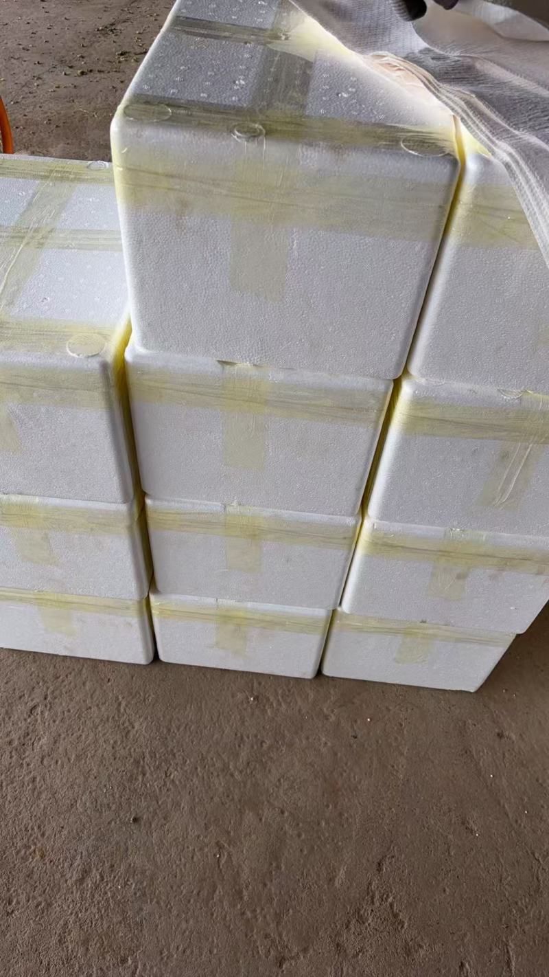 精品豌豆，新鲜现摘现扒，全手工加工，欢迎老板进店咨询