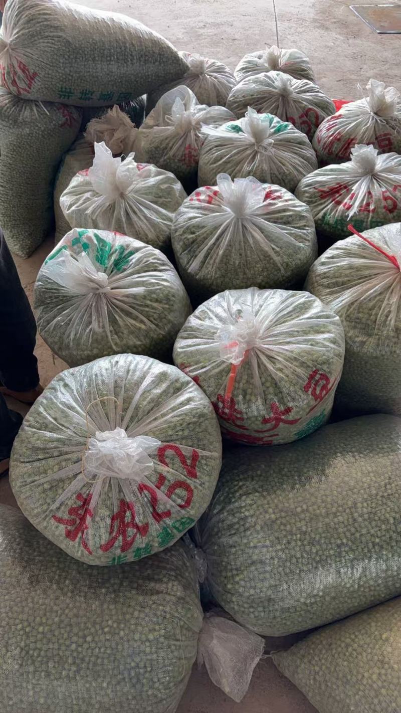 精品豌豆，新鲜现摘现扒，全手工加工，欢迎老板进店咨询