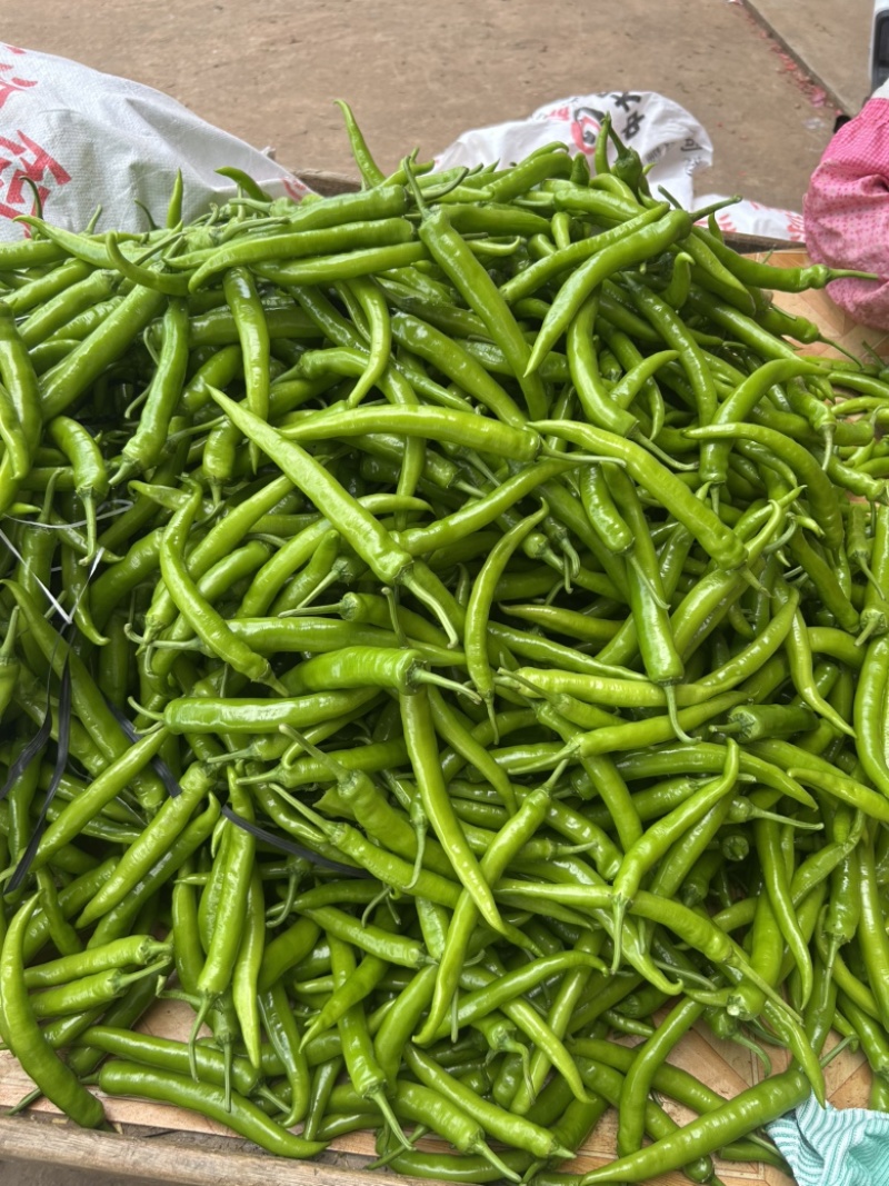 亢杭椒