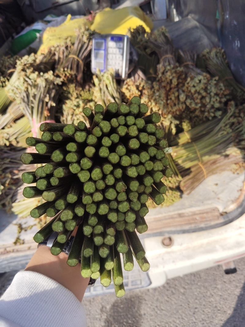 贵州蕨菜产地直发