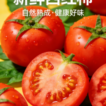 西红柿