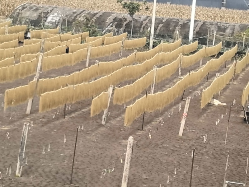 粉条红薯粉条纯红薯粉条厂家直供整车批发欢迎来电