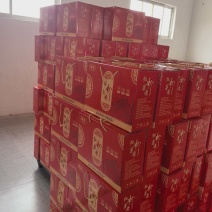 粉条平顶山汝州红薯粉条厂家直供品质保障量大从优欢迎咨询