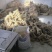 粉条平顶山汝州红薯粉条厂家直供品质保障量大从优欢迎咨询