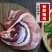 【鲜马肉】新鲜现杀马腿肉精品生鲜带皮马肉火锅烧烤食材包邮