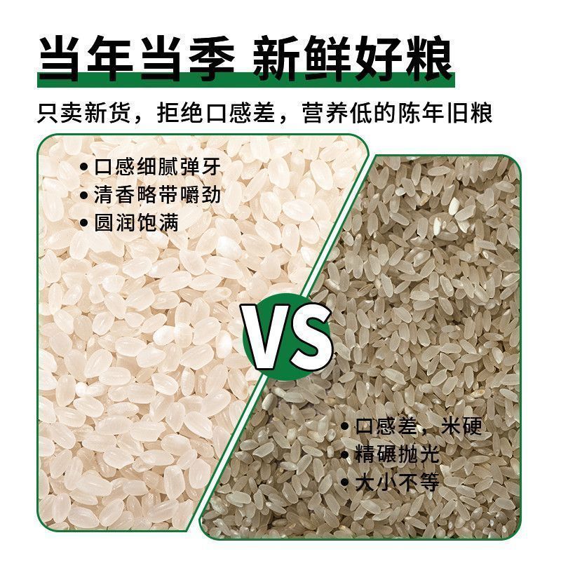 东北大米颗粒饱满稻花香按需包装规格齐全大量发货