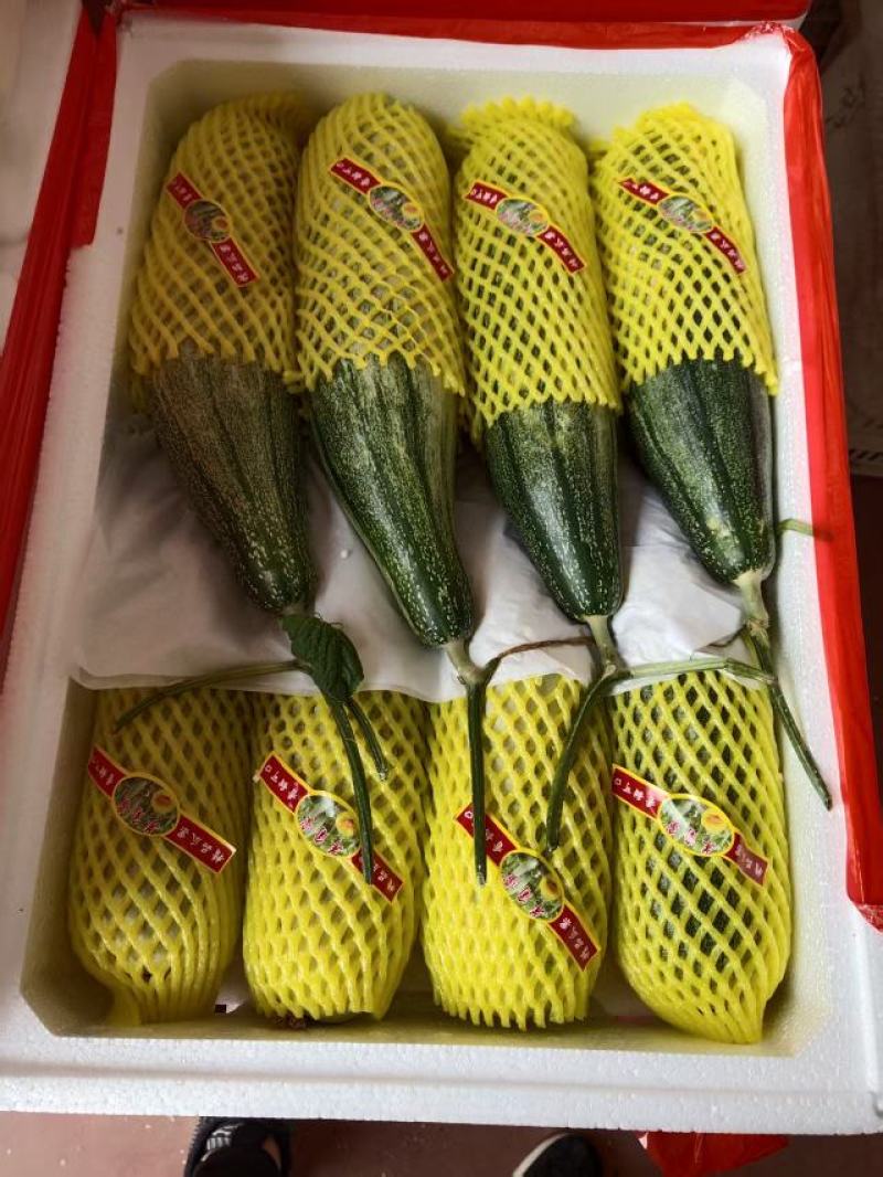 羊角蜜大量上市对接全国市场商超电商社区团购来电
