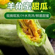 羊角蜜大量上市对接全国市场商超电商社区团购来电