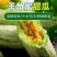 羊角蜜大量上市对接全国市场商超电商社区团购来电