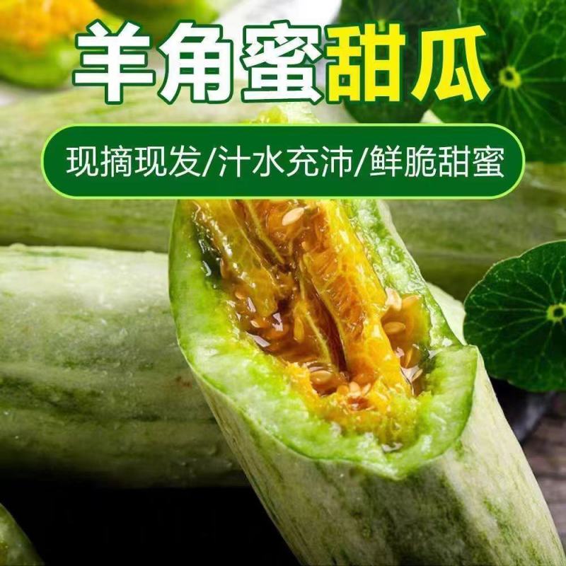 羊角蜜大量上市对接全国市场商超电商社区团购来电