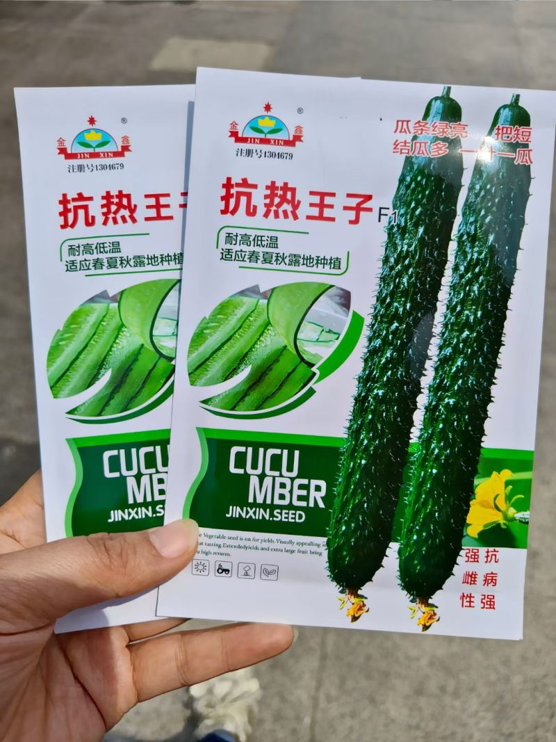 抗热王子黄瓜种子强雌油亮黄瓜种子绿肉春夏秋耐热高产刺黄瓜