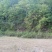 澜沧县野生蜂蜜大量有货基地直供品质优可视频看货欢迎咨询来