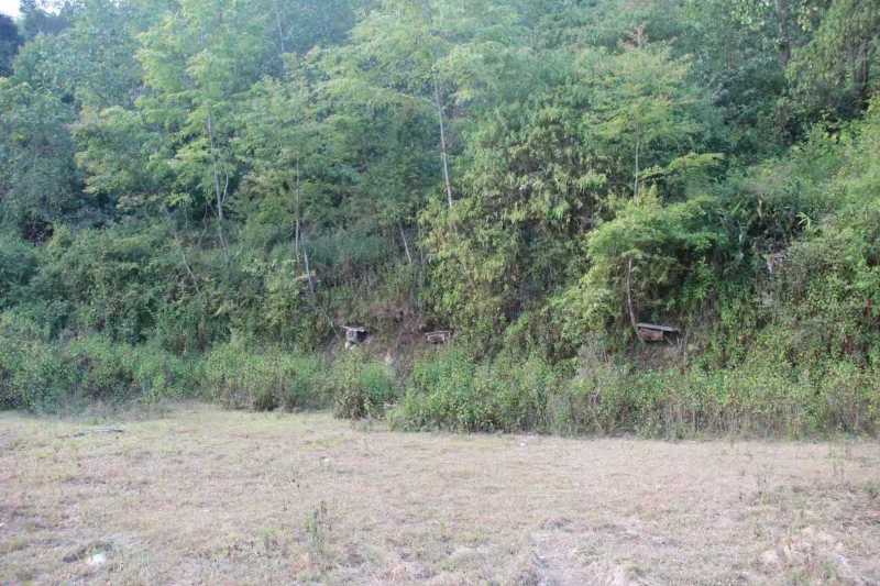 澜沧县野生蜂蜜大量有货基地直供品质优可视频看货欢迎咨询来